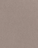 Mocha Taupe